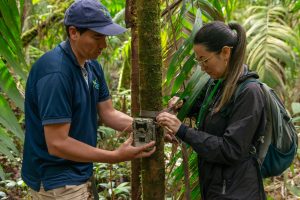 Investigación de la CARDER sobre la danta de montaña es publicada en una revista científica internacional