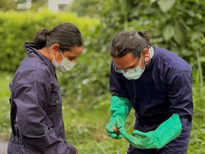 Jornada de la CARDER en Álamos permitió recolectar 14 kilos de Caracol Gigante Africano