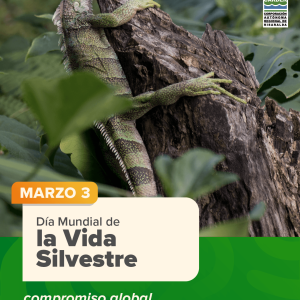 Día Mundial de la Vida Silvestre