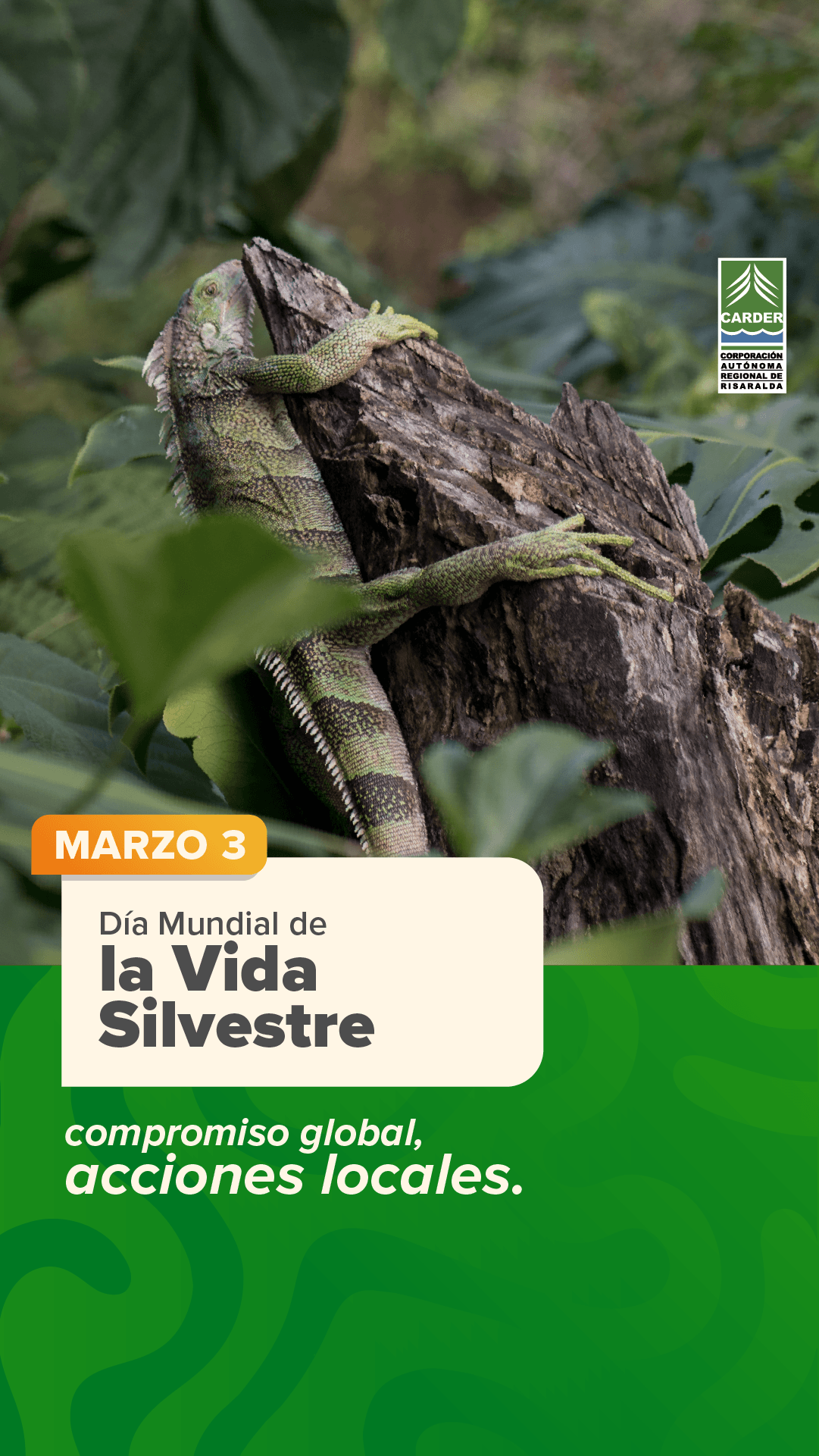 Día Mundial de la Vida Silvestre