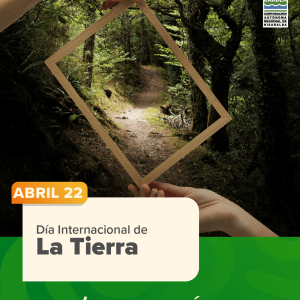 Día Internacional de La Tierra