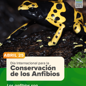 Día Internacional para la Conservación de los Anfibios