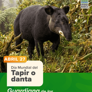día Mundial del Tapir o danta
