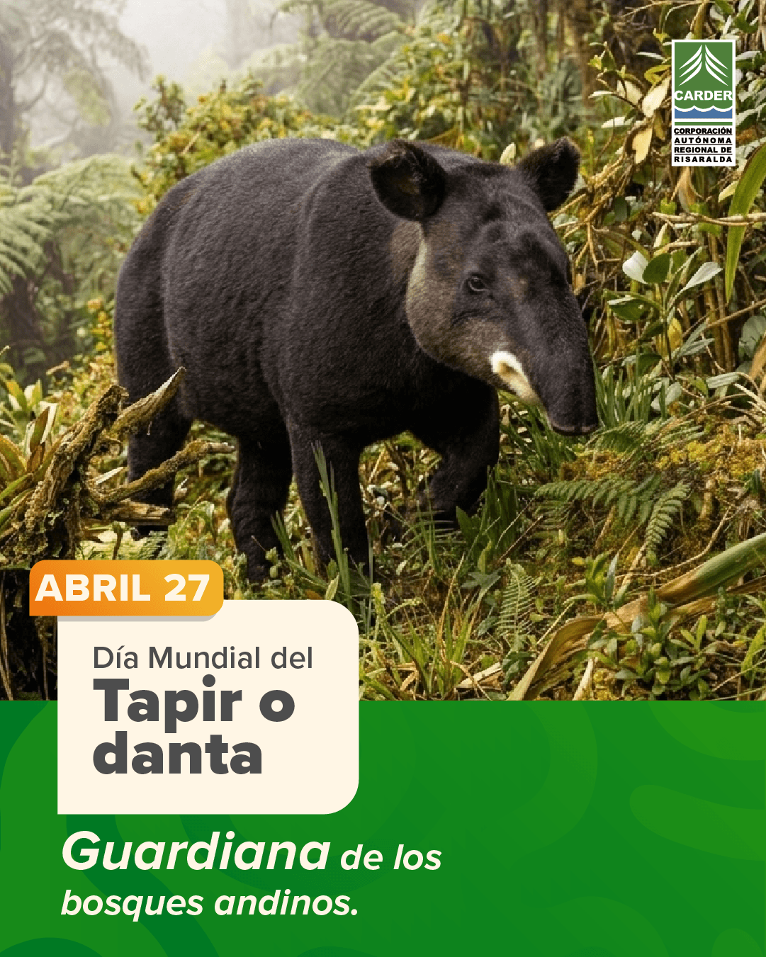 día Mundial del Tapir o danta