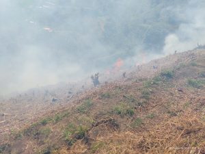 Risaralda se prepara ante posible fenómeno de El Niño de alta intensidad