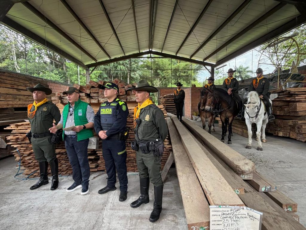 Golpe contundente al tráfico ilegal de madera en Risaralda: La CARDER y la Policía Ambiental han incautan más de 1.000 m³ en los últimos años
