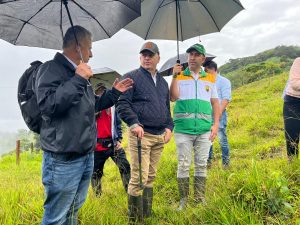 Obra de bioingeniería en Marsella garantiza estabilidad del suelo y protege el abastecimiento de agua