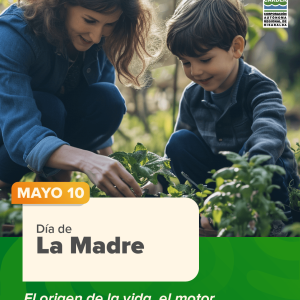 Día Internacional de la Luz. Luz que Inspira y Transforma