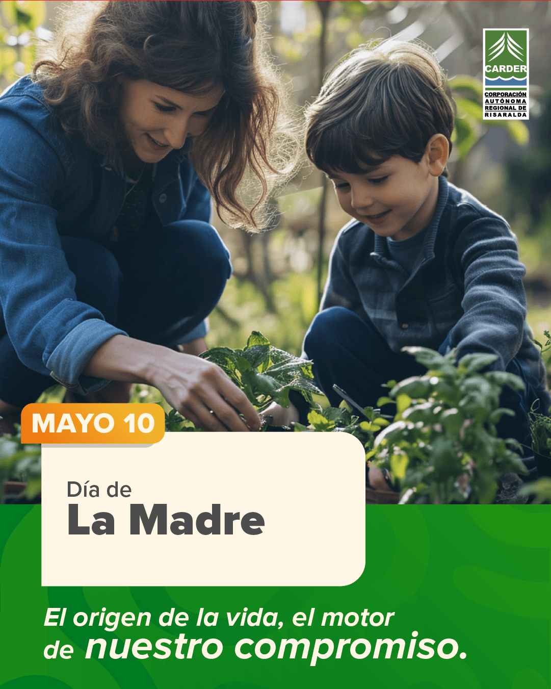 Día Internacional de la Luz. Luz que Inspira y Transforma