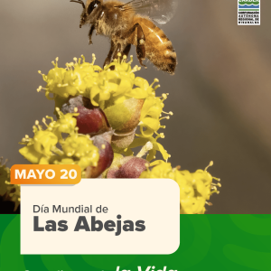 Día Mundial de las Abejas,