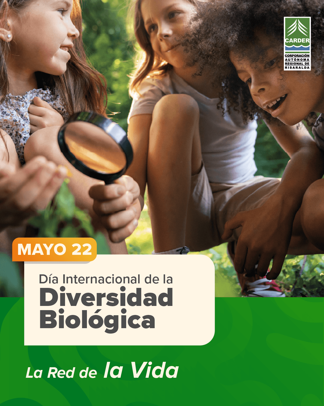 Día Internacional de la Diversidad Biológica:
