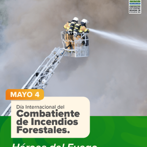 Día Internacional del Combatiente de Incendios Forestales. Héroes del Fuego