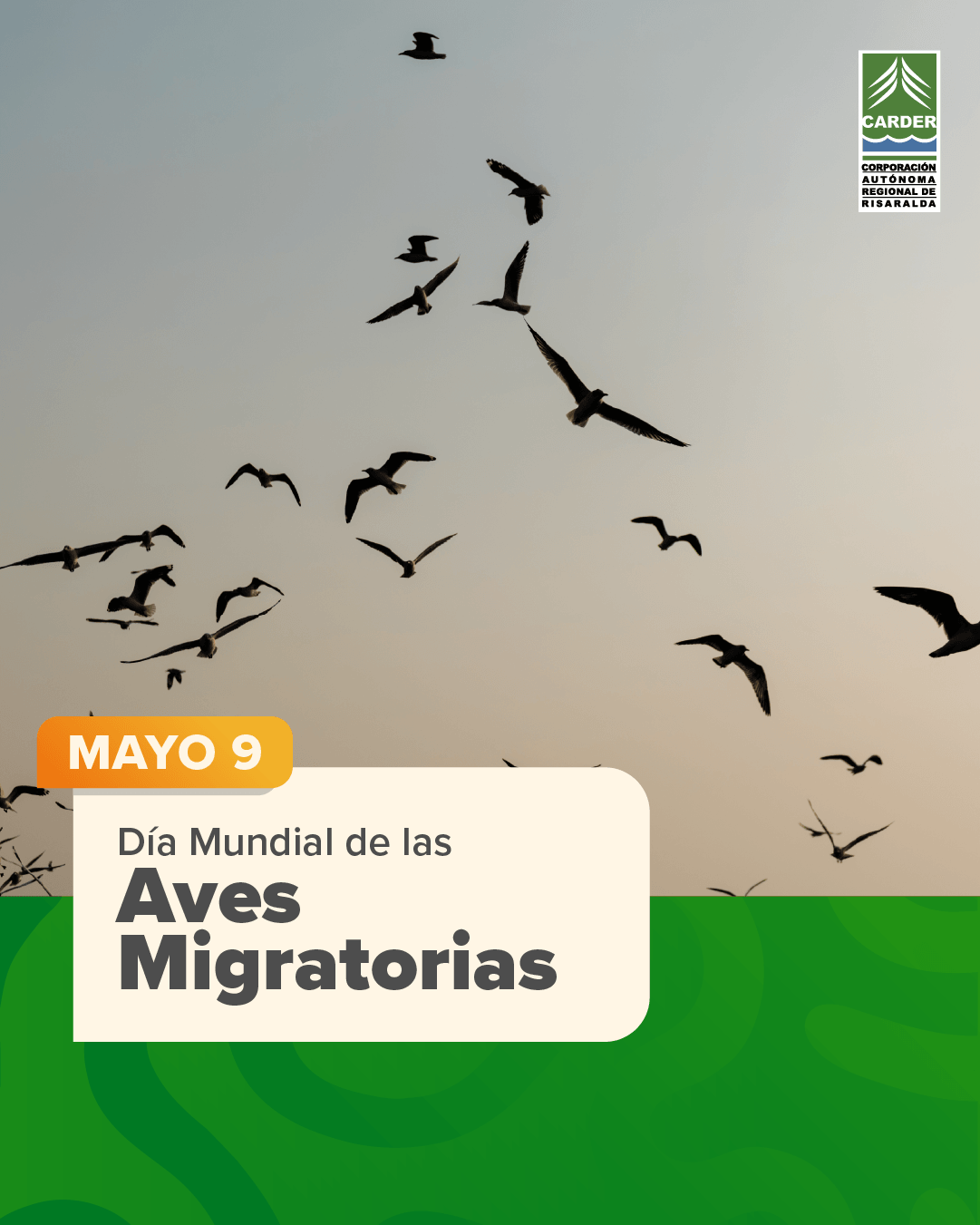 Día Mundial de las Aves Migratorias
