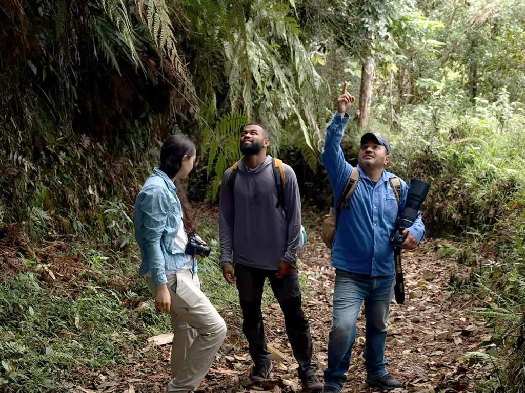 CARDER fortaleció el monitoreo y la conservación de especies de flora amenazadas en la Serranía Alto del Nudo