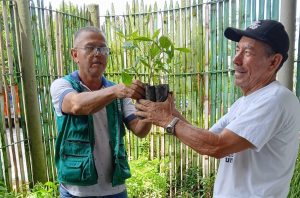 La CARDER invita a la ciudadanía a solicitar árboles para sembrar en sus barrios y comunidades