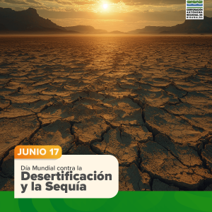Día Mundial contra la Desertificación y la Sequía