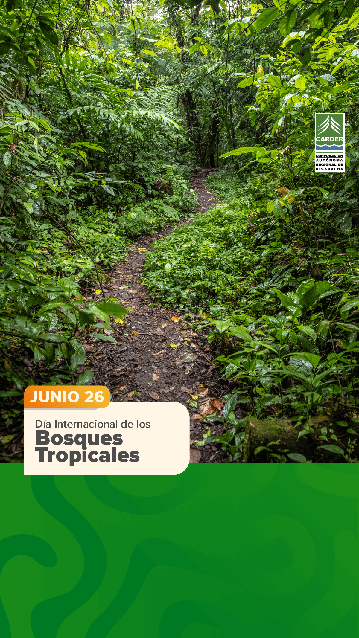 Día Internacional de los Bosques Tropicales