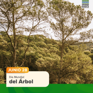 Día Mundial del Árbol