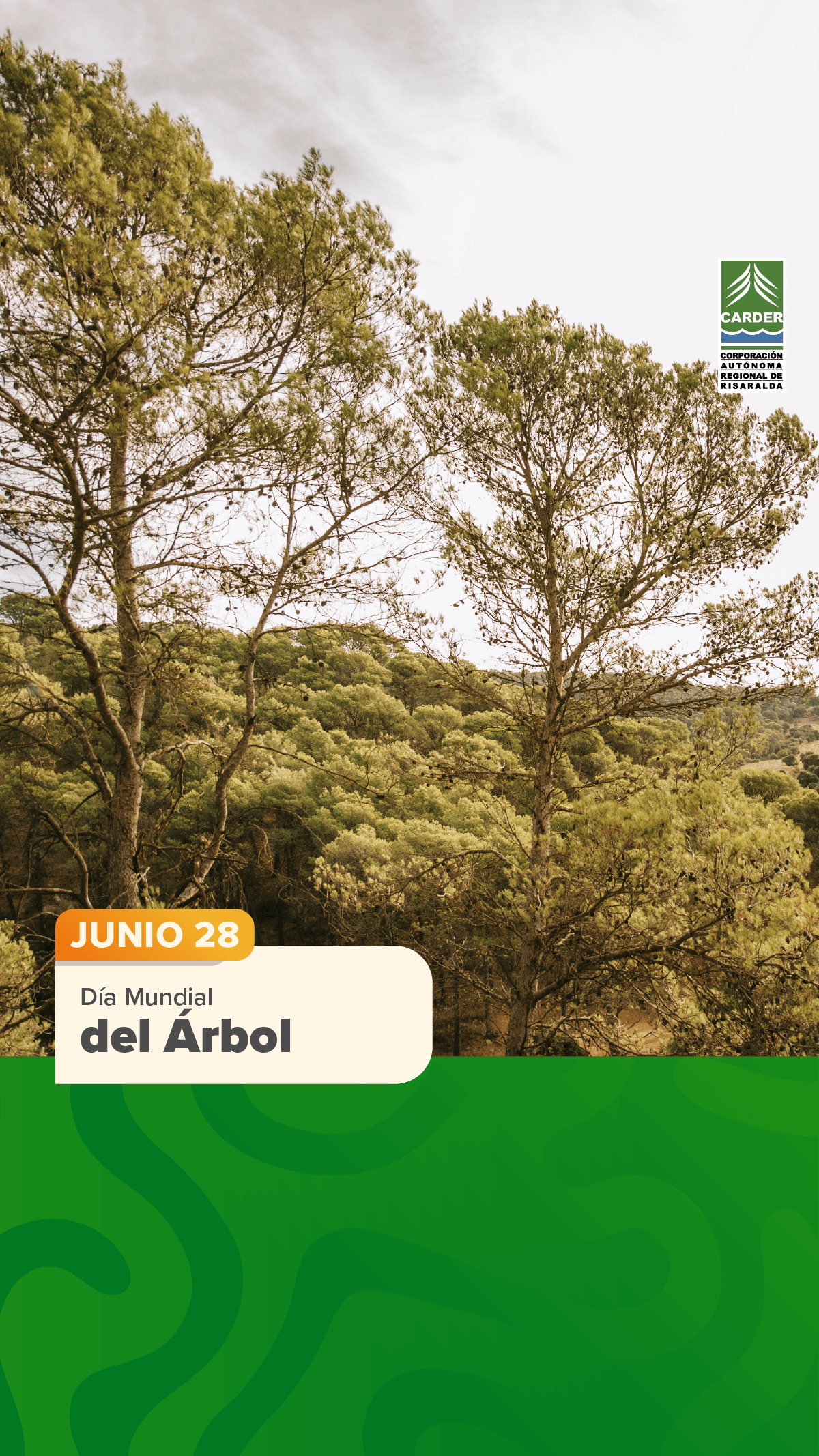 Día Mundial del Árbol