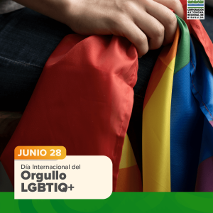 Día Internacional del Orgullo LGBT