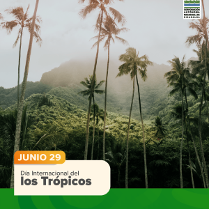 Día Internacional de los Trópicos
