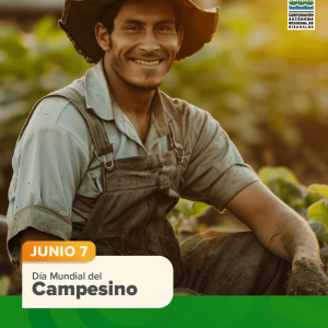 Día Mundial contra la Desertificación y la Sequía