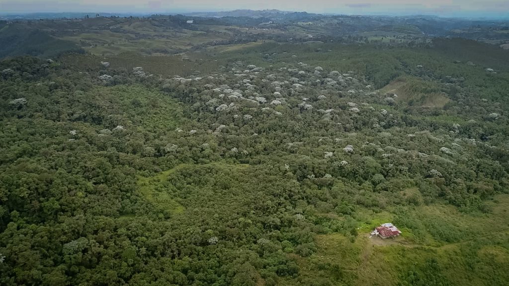 Pago por Servicios Ambientales: un incentivo para quienes conservan los bosques y protegen el agua en sus predios