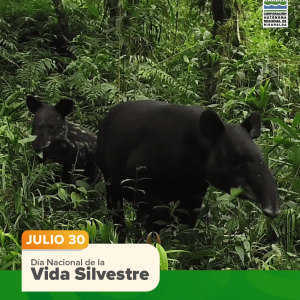 Día Nacional de la Vida Silvestre