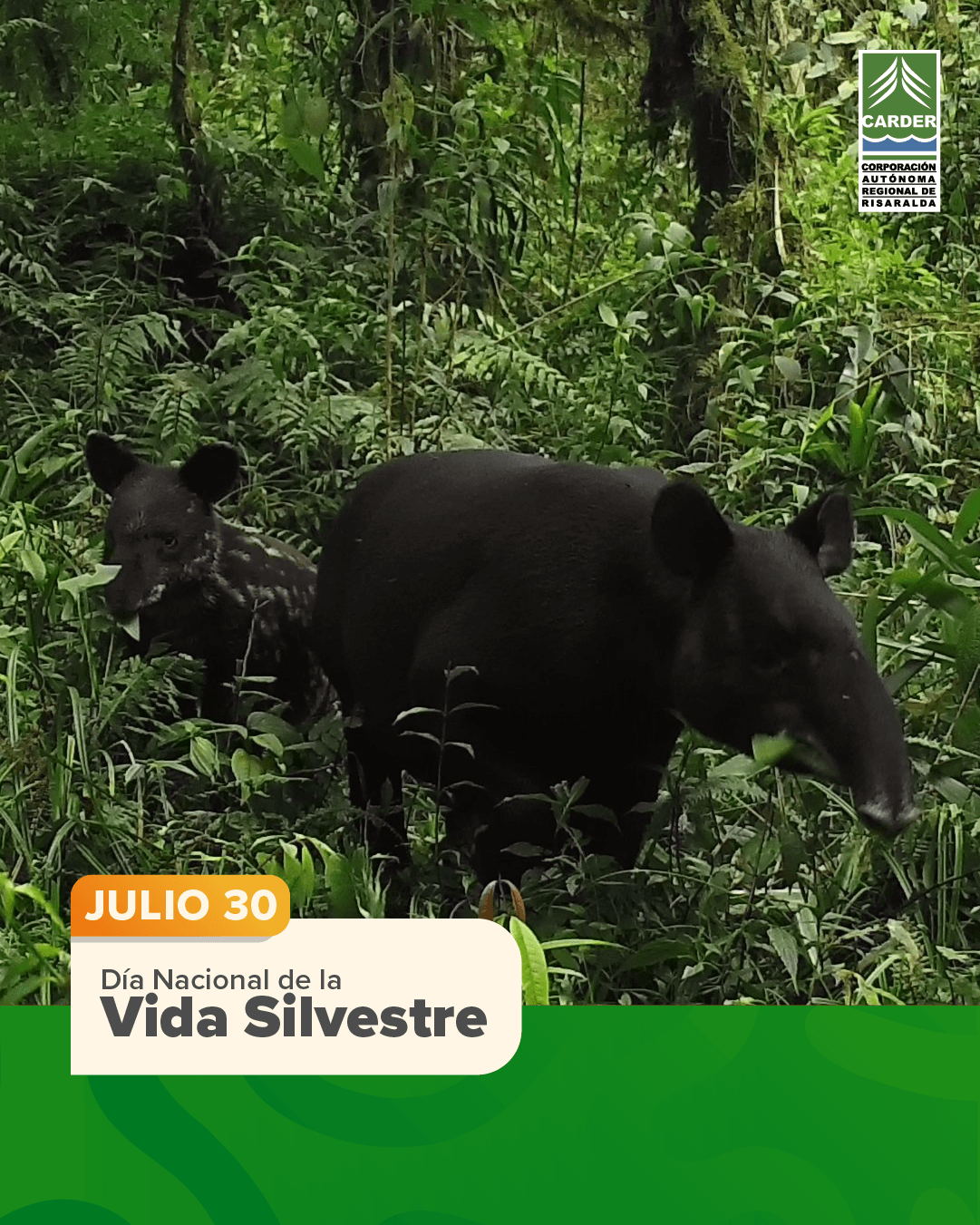 Día Nacional de la Vida Silvestre