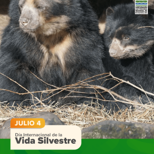 Día Internacional de La Vida Silvestre