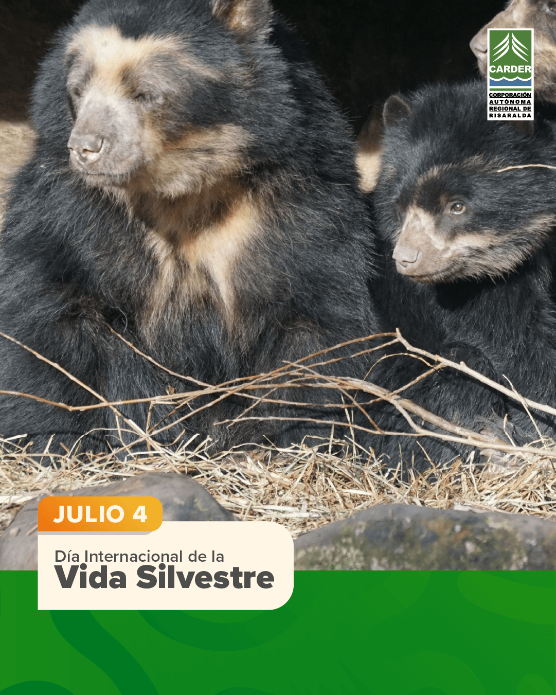 Día Internacional de La Vida Silvestre