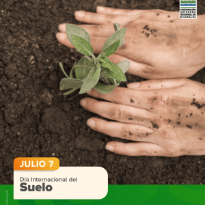 Día Internacional del Suelo