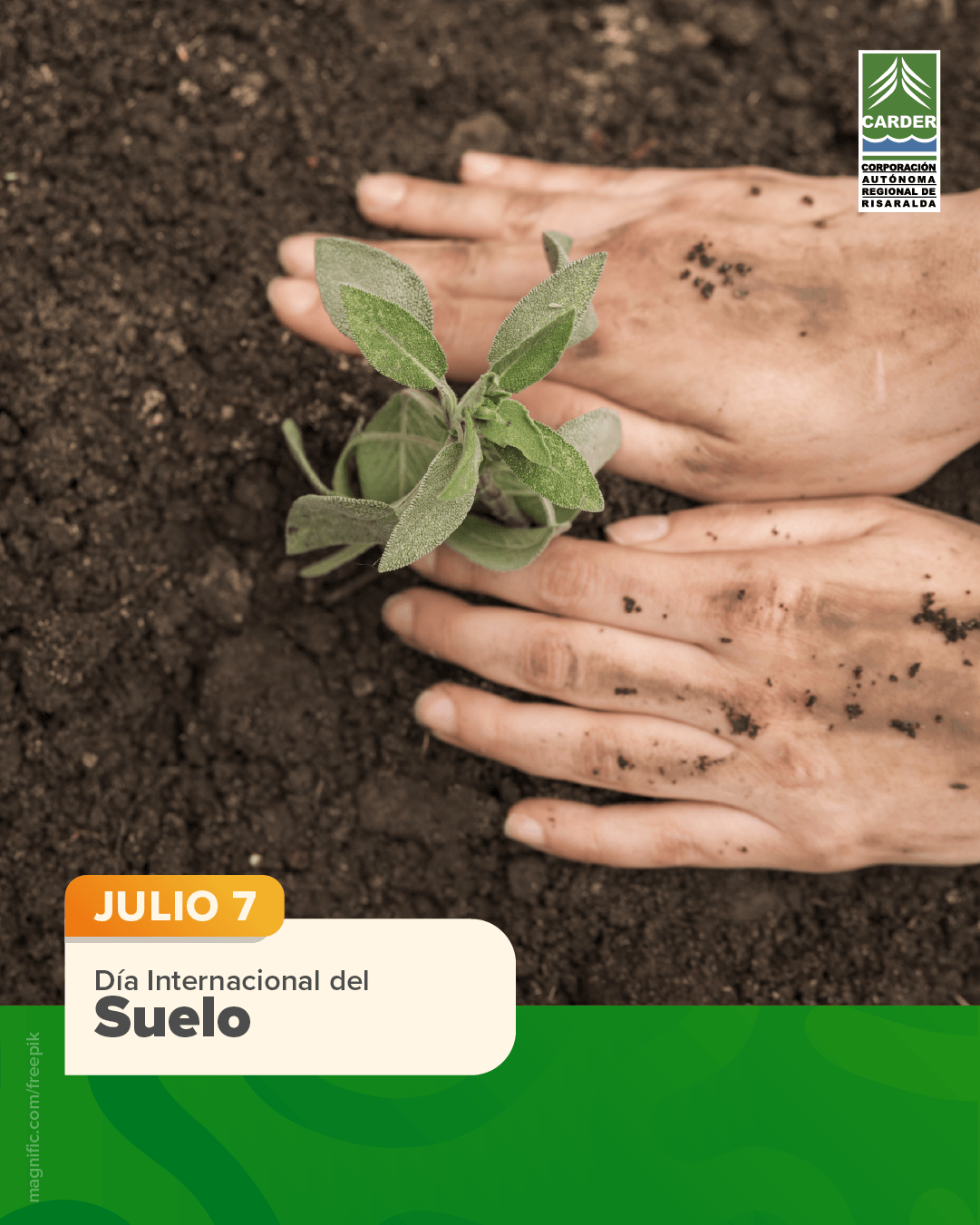 Día Internacional del Suelo