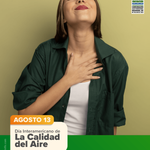Día interamericano de la calidad del aire: