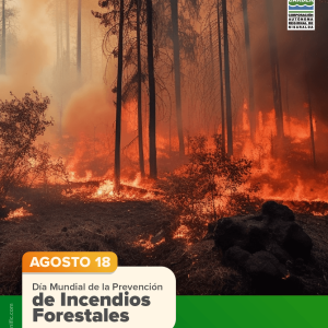 Día mundial de la prevención de incendios forestales