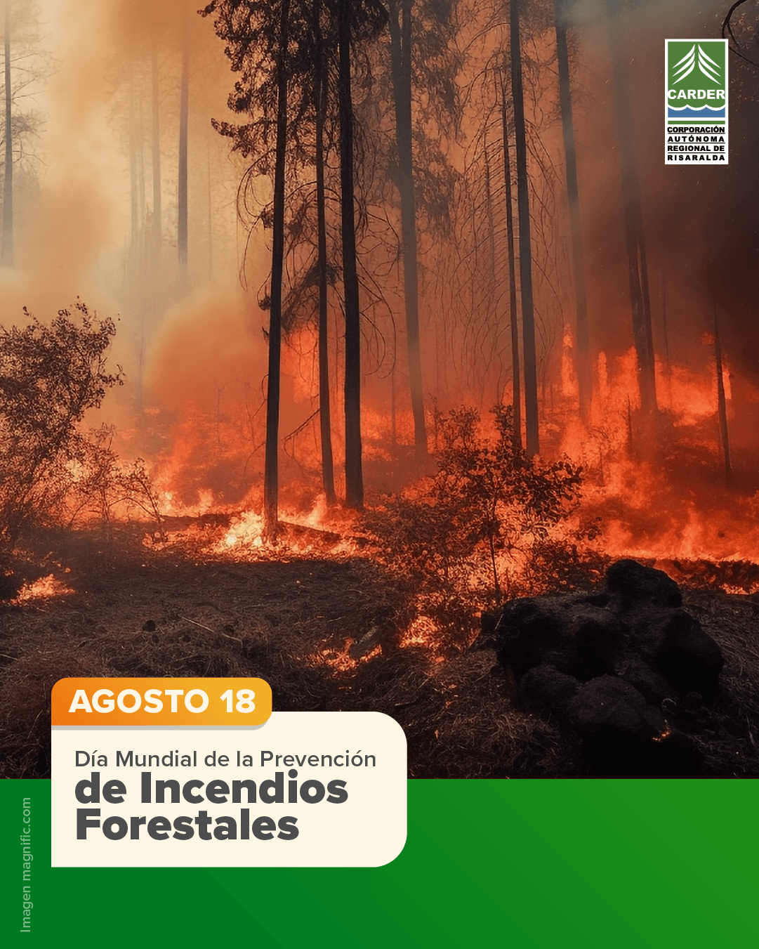 Día mundial de la prevención de incendios forestales