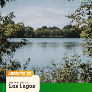 Día mundial de los Lagos, reservas de vida.