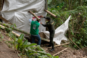 Más de 2.200 denuncias ambientales atendió la CARDER en Risaralda durante el primer semestre de 2026