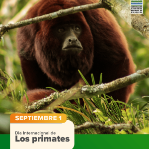 Día Internacional de los Primates