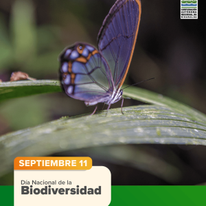 Día Nacional de la Biodiversidad