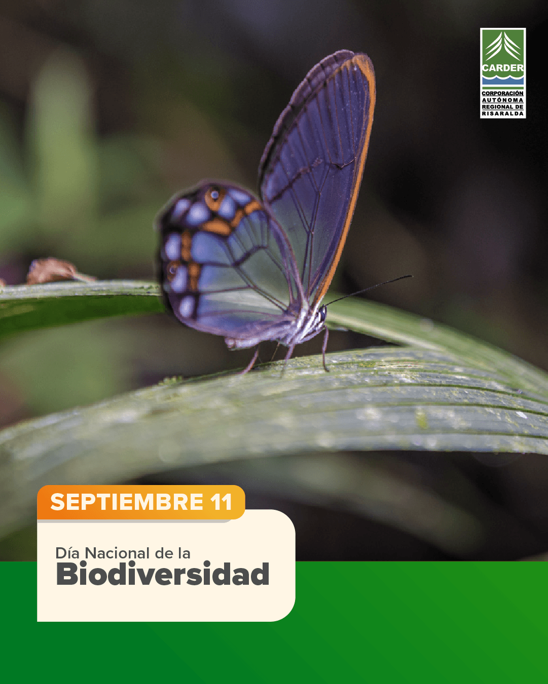 Día Nacional de la Biodiversidad