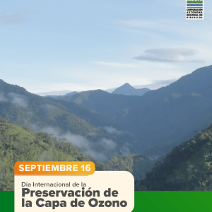 Día Internacional de la Preservación de la Capa de Ozono