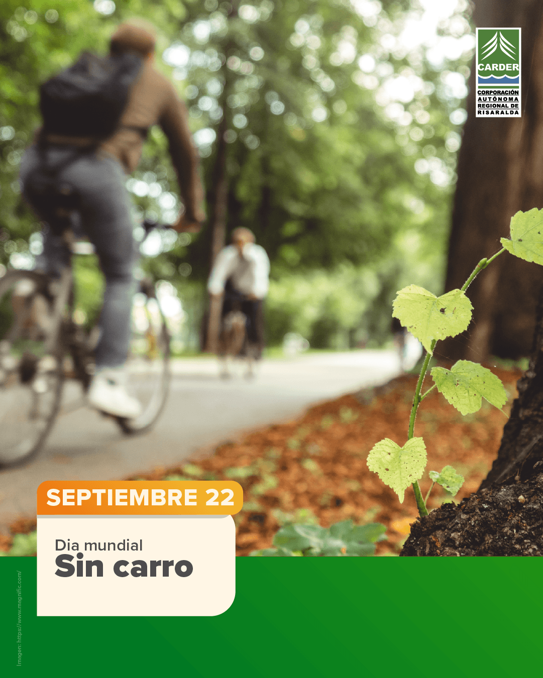 Día Mundial Sin Carro