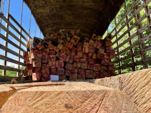 La CARDER recibió donación de madera por parte de la CAR Cundinamarca