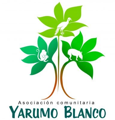 Logo Yarumo Blanco